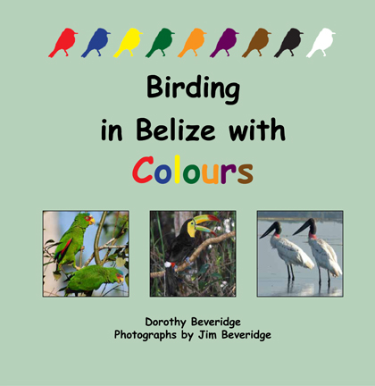 Birding with Colours